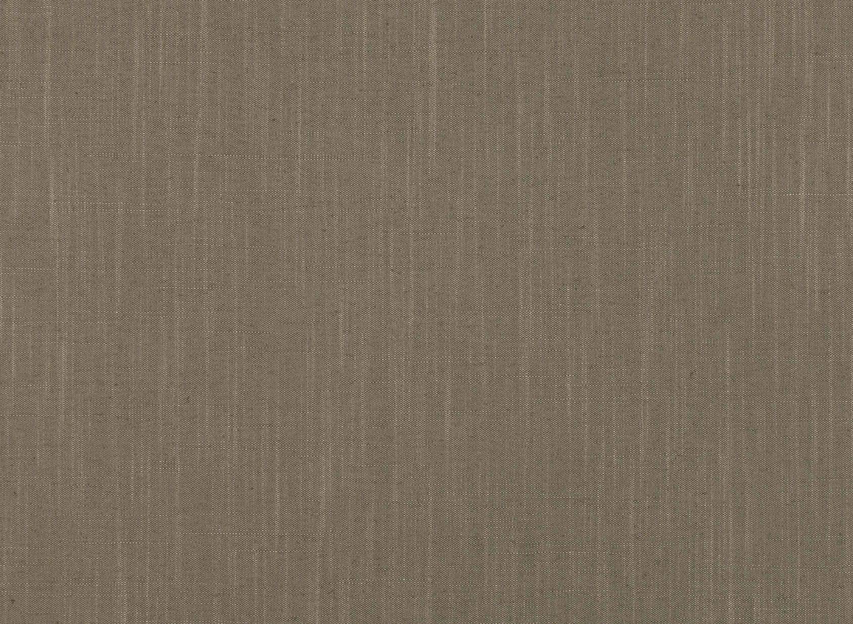 Asuri Porcini 7726-06