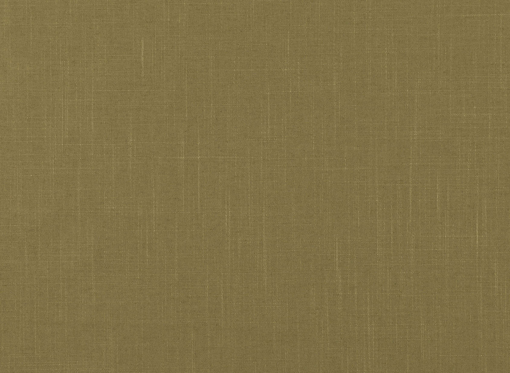 Asuri Endive 7726-40