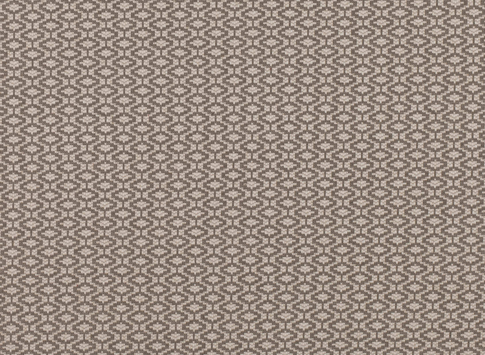 Austin Bark 7703-02