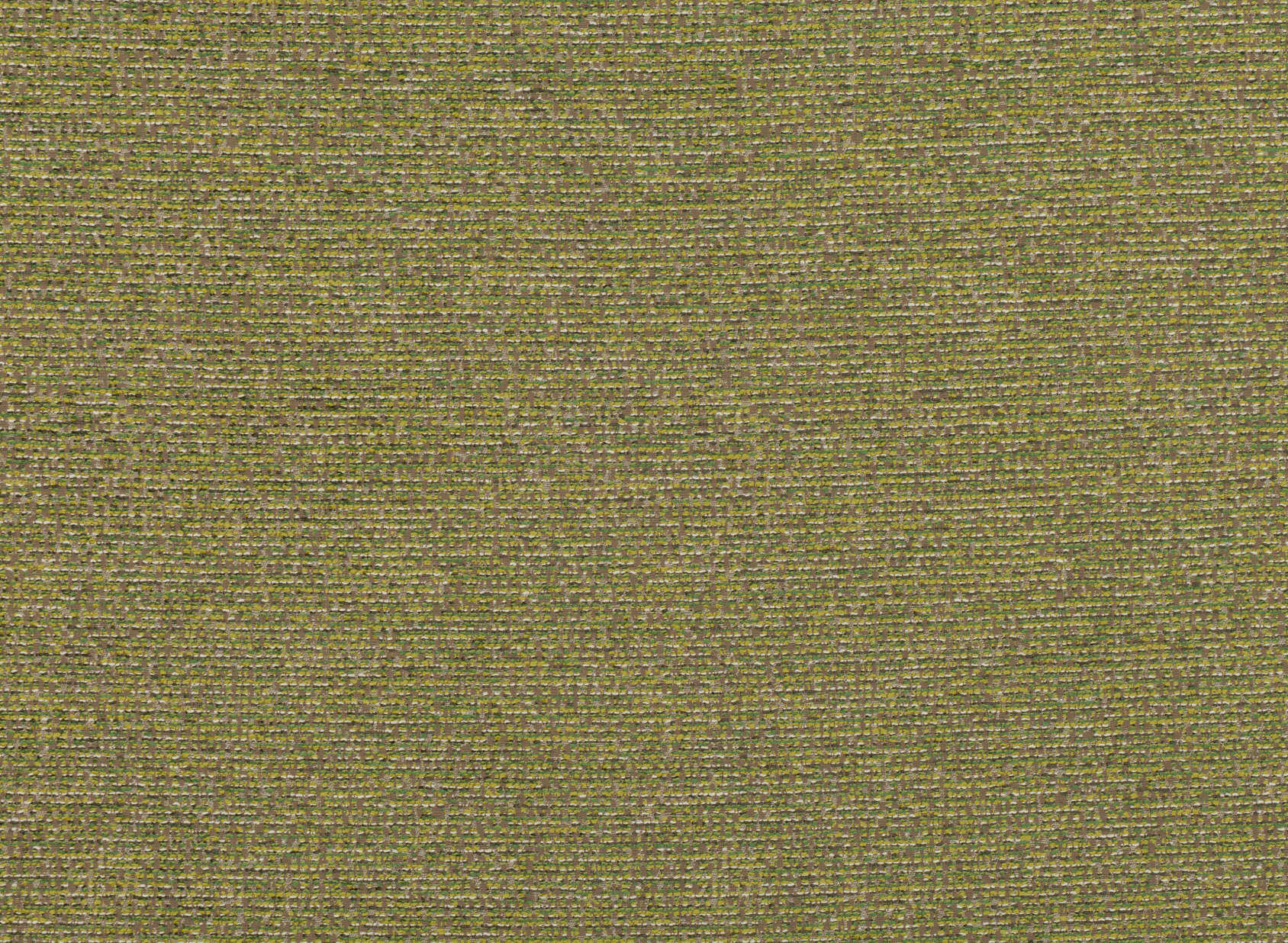 Biella Thyme 7628-01