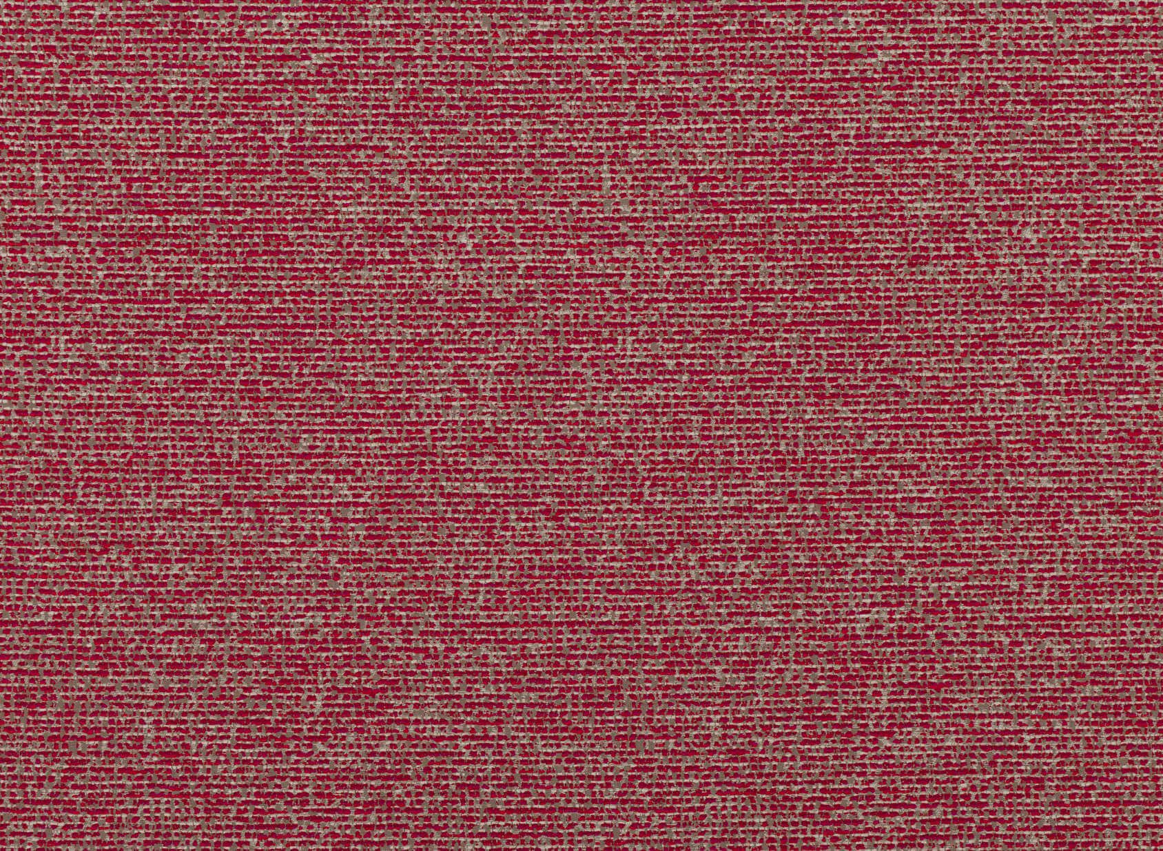 Biella Petunia 7628-02