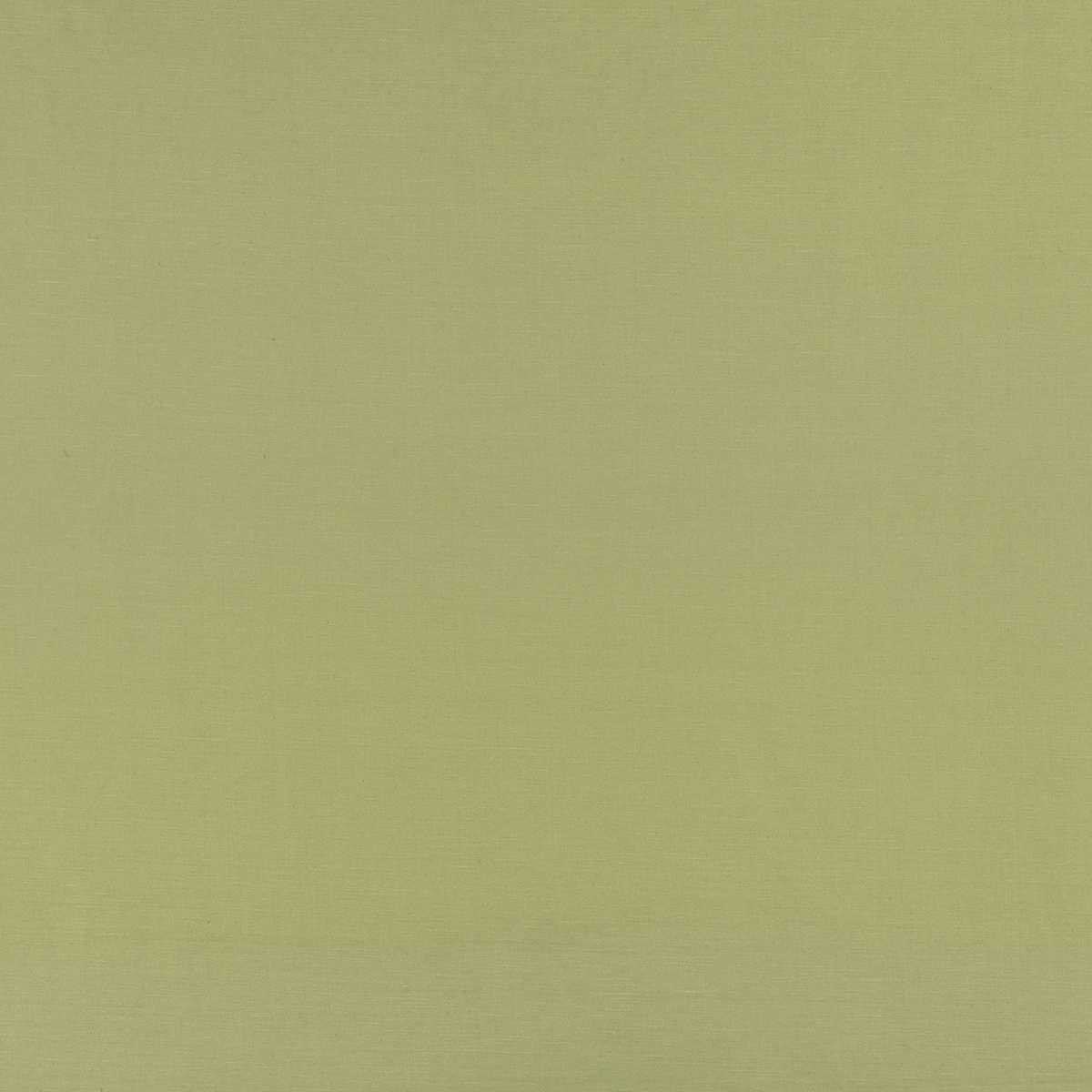 Celino Matcha