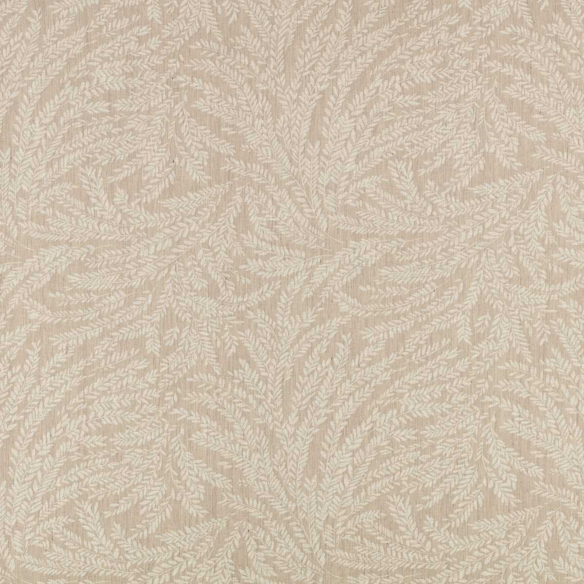 Cicely Chamois