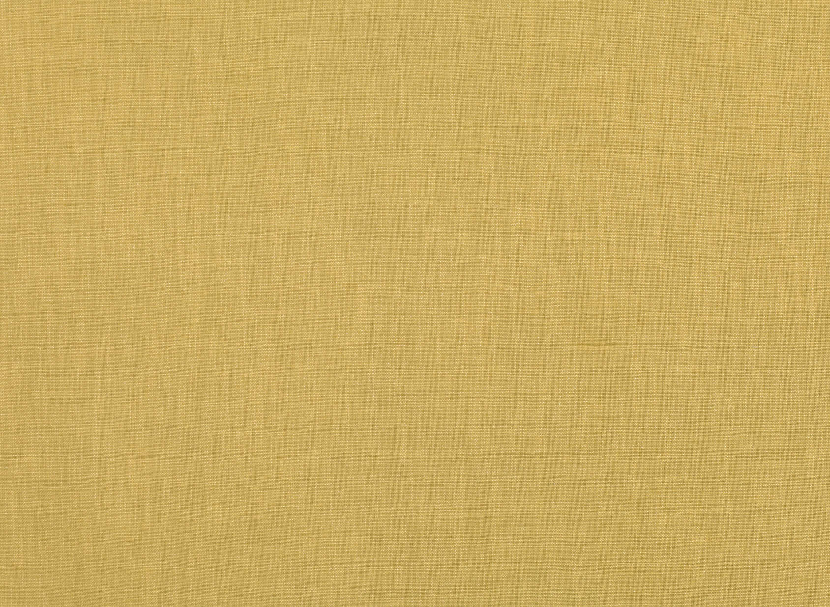 Emin Maize 7756-70