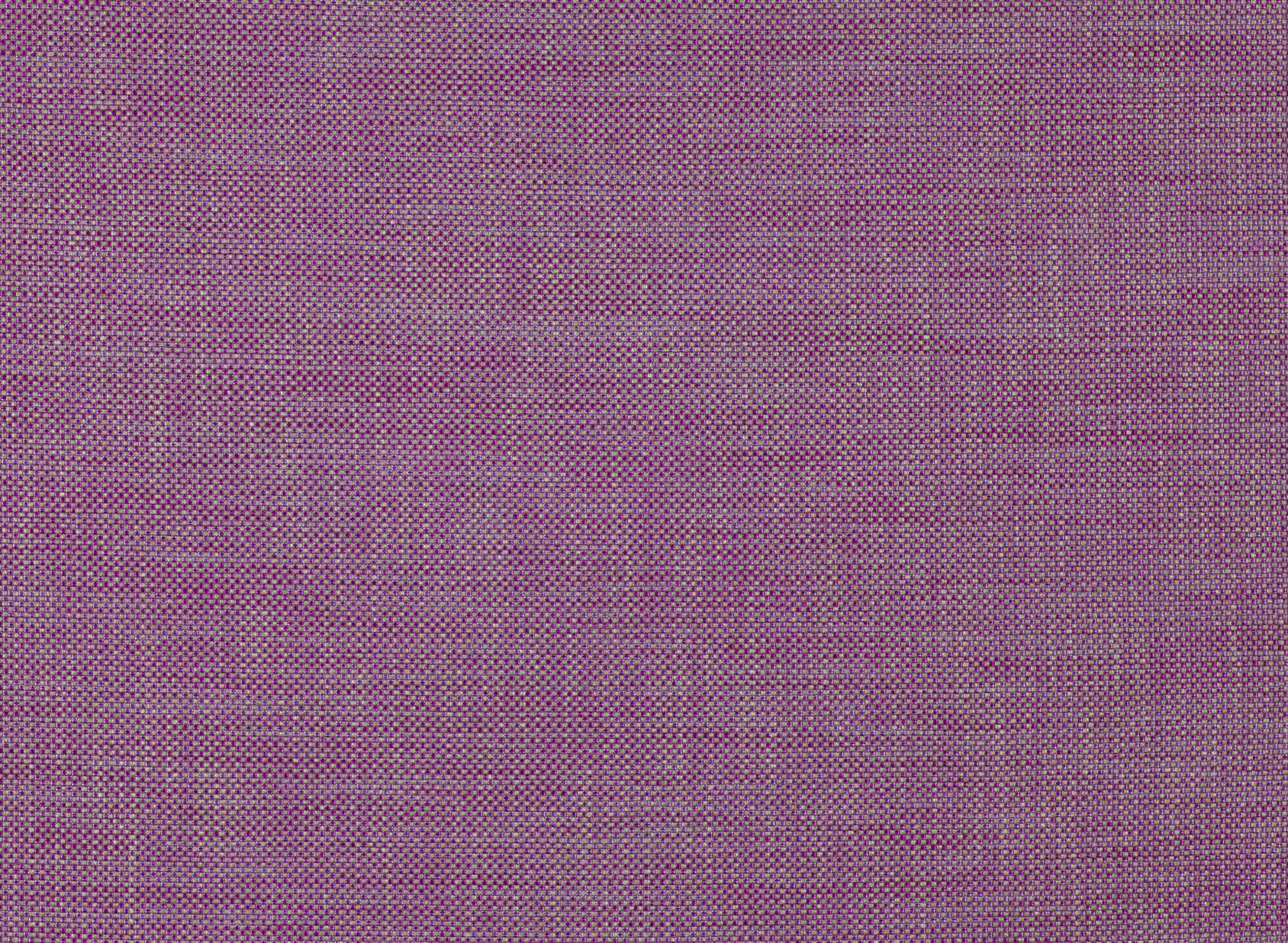 Hector Acai 7595-06