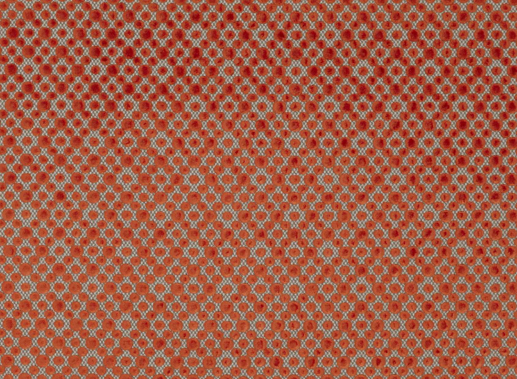 Polka Cayenne 7598-03