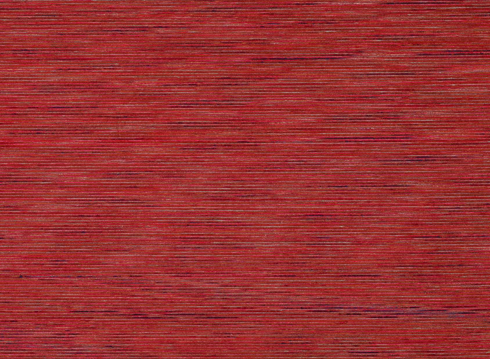 Rubus Red Tulip 7567-01
