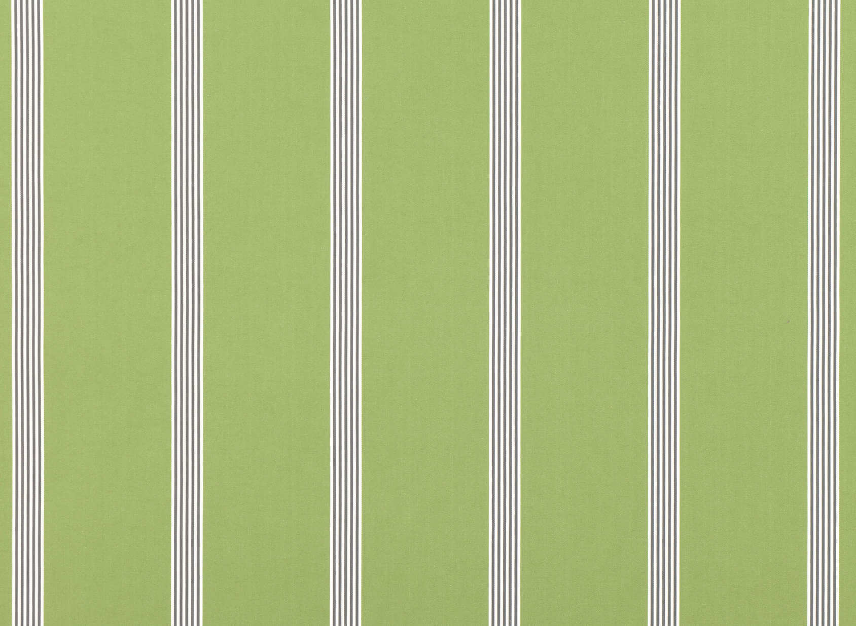 Farne Cilantro 7719-02