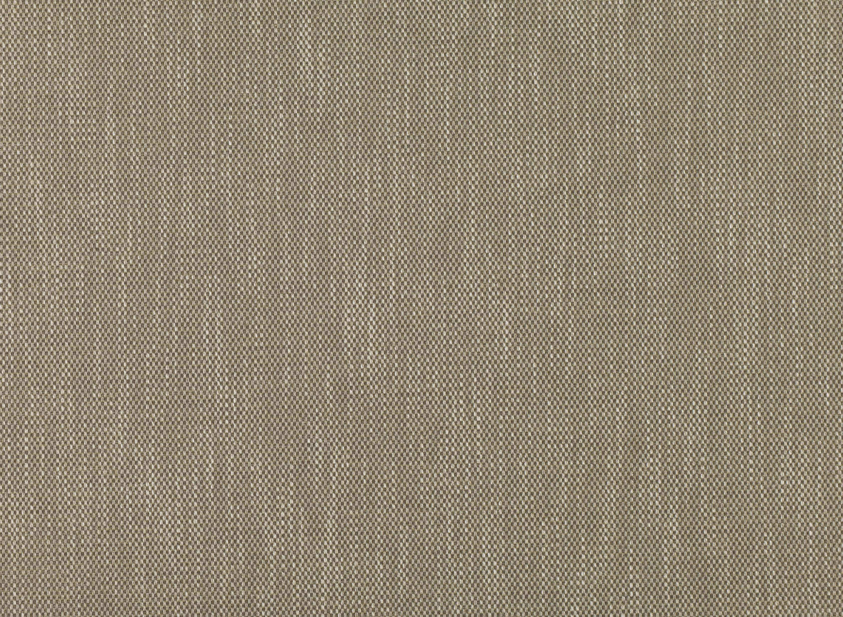 Hayle Driftwood 7629-02