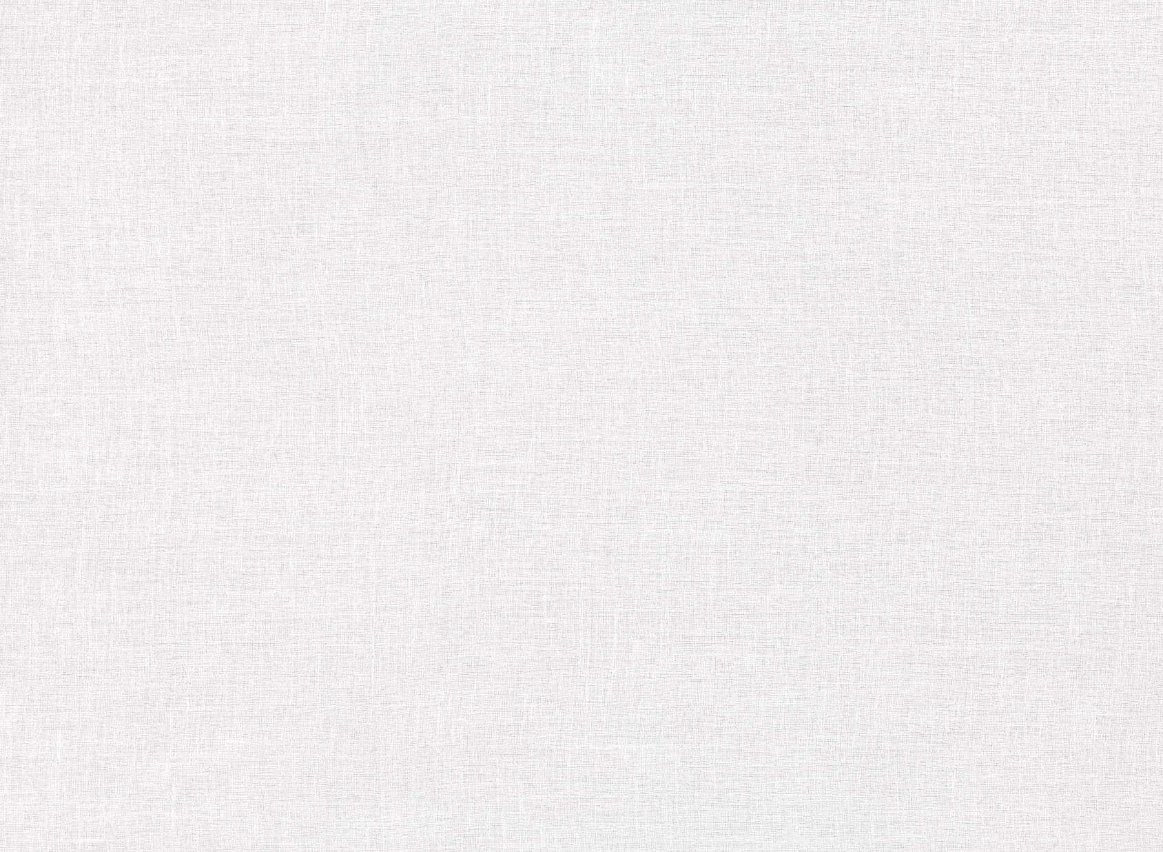 Inessa Coconut 7771-01