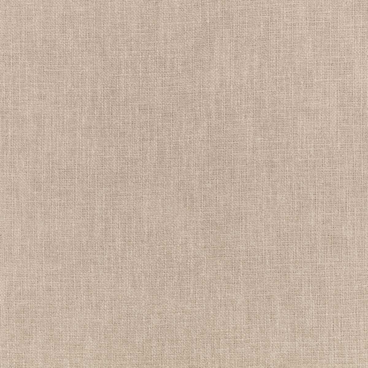 Kaia Stucco
