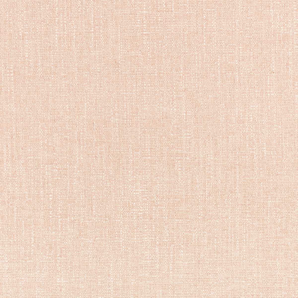 Kelby Wild Rose