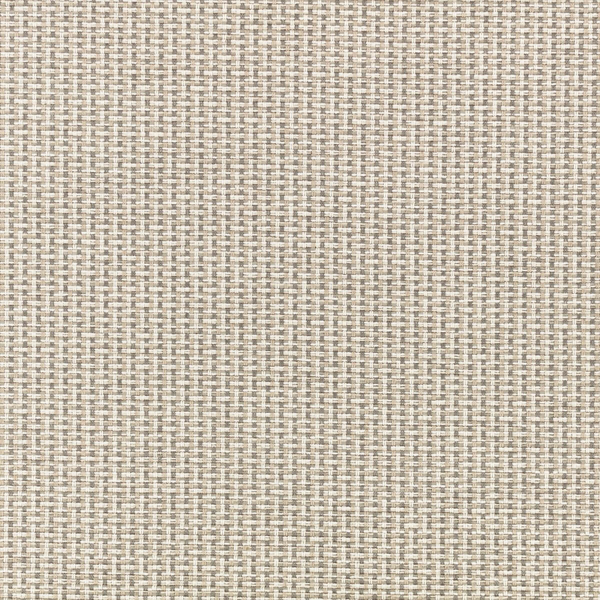 Kiku 8034-01