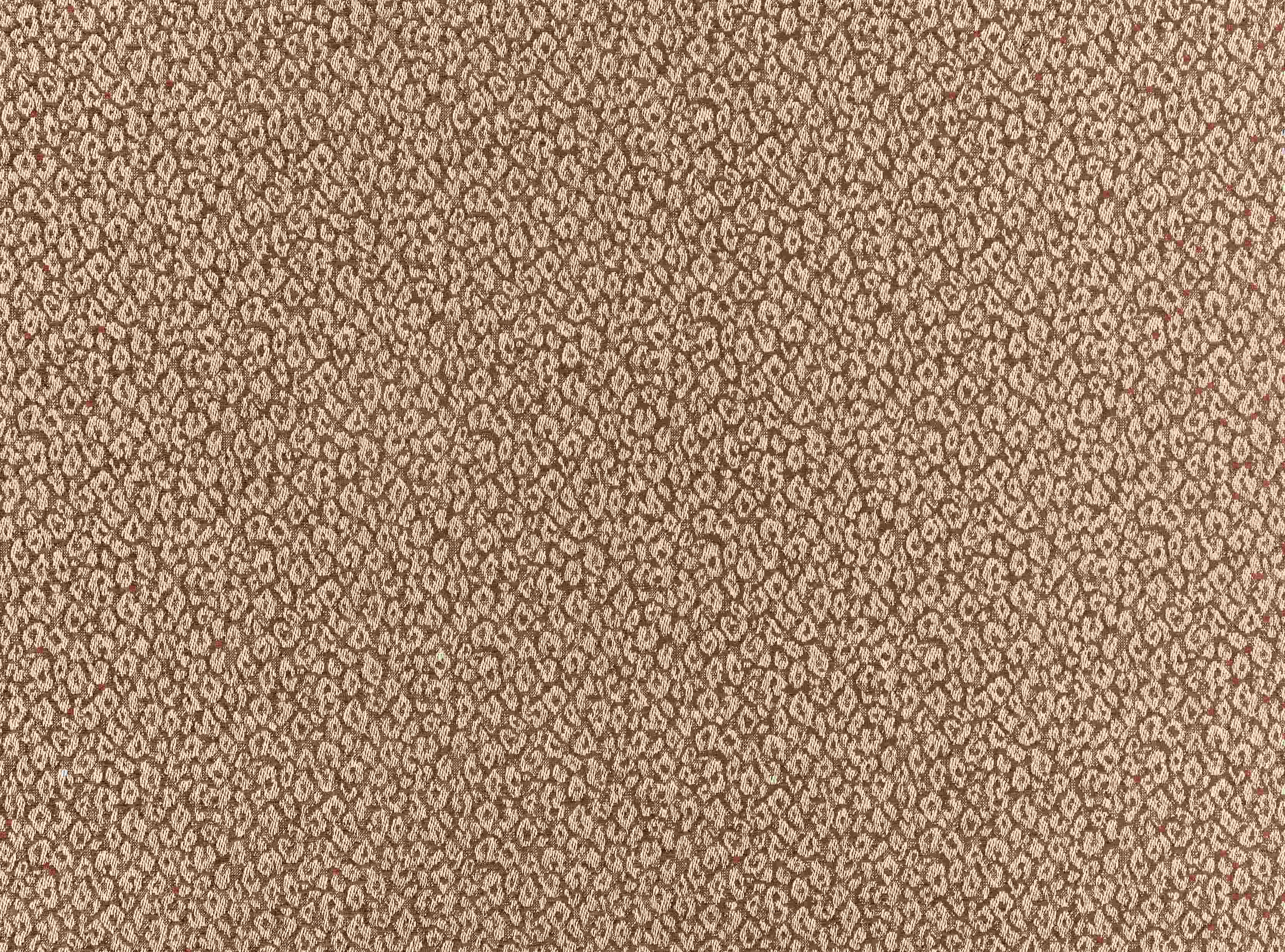 Kitty 7998/01