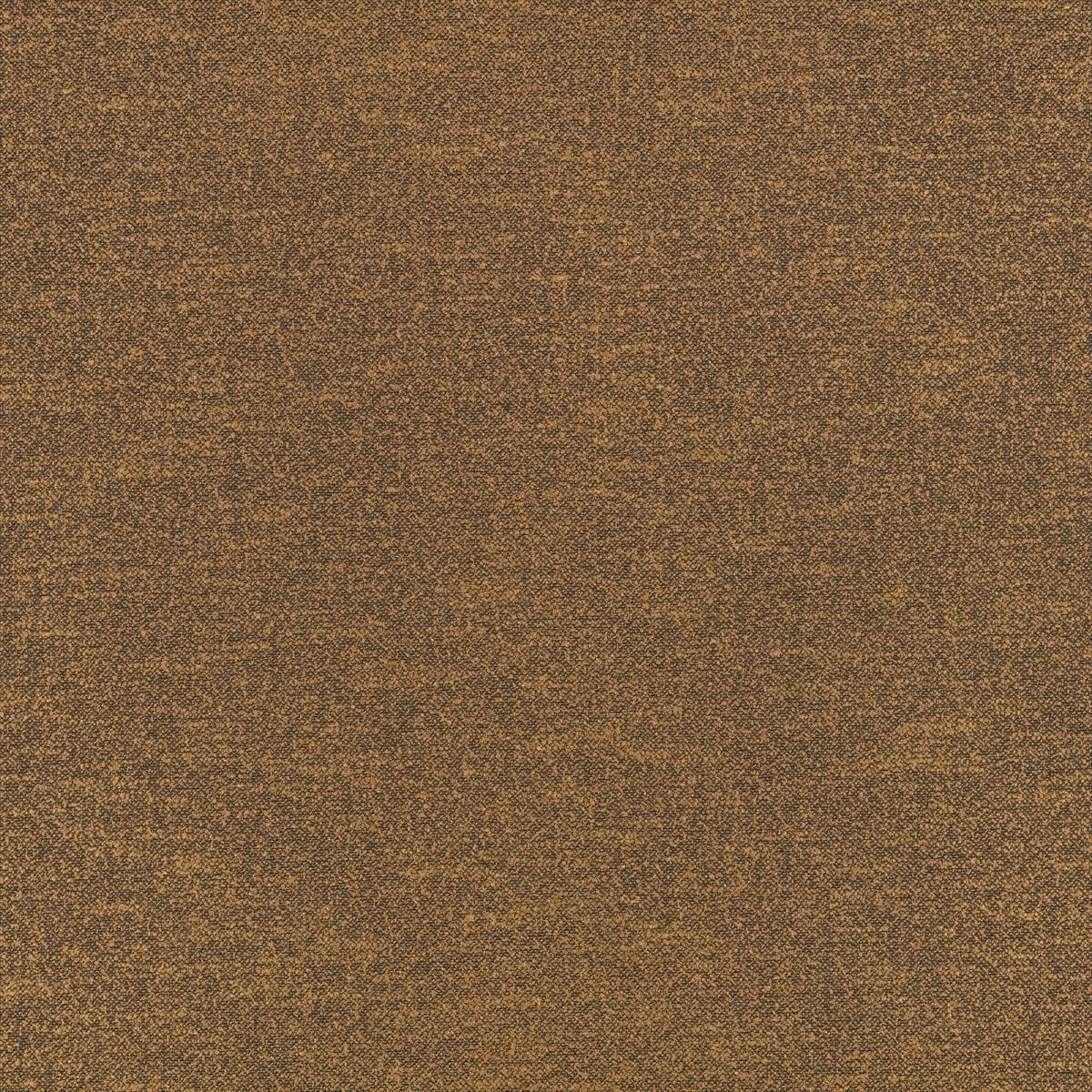 Kyri 8029-11