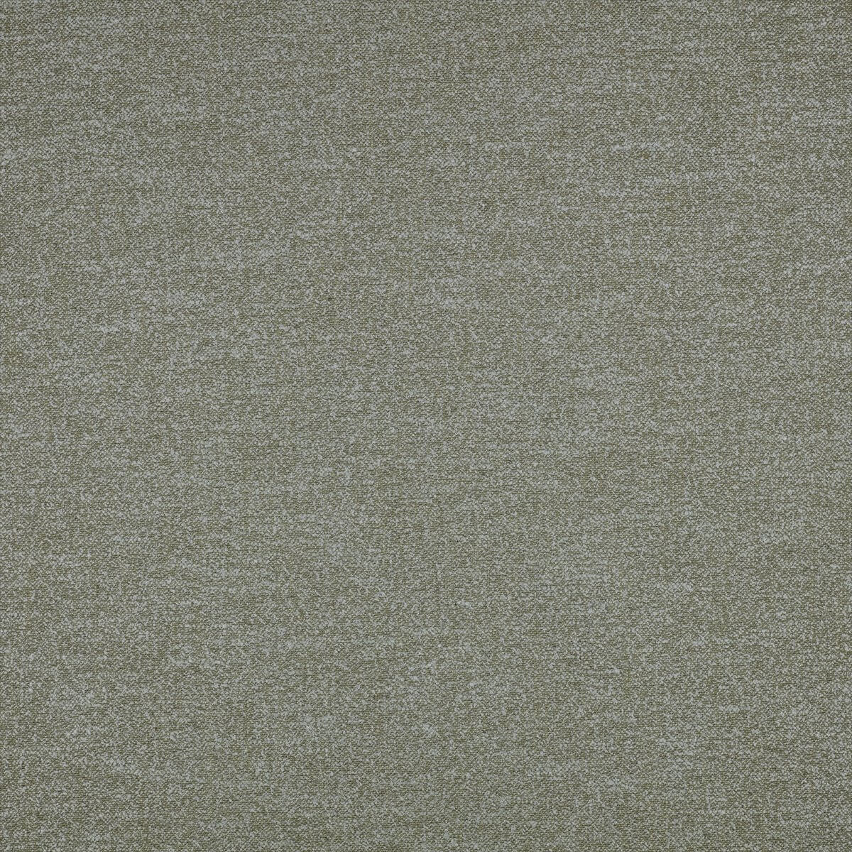 Kyri 8029-41