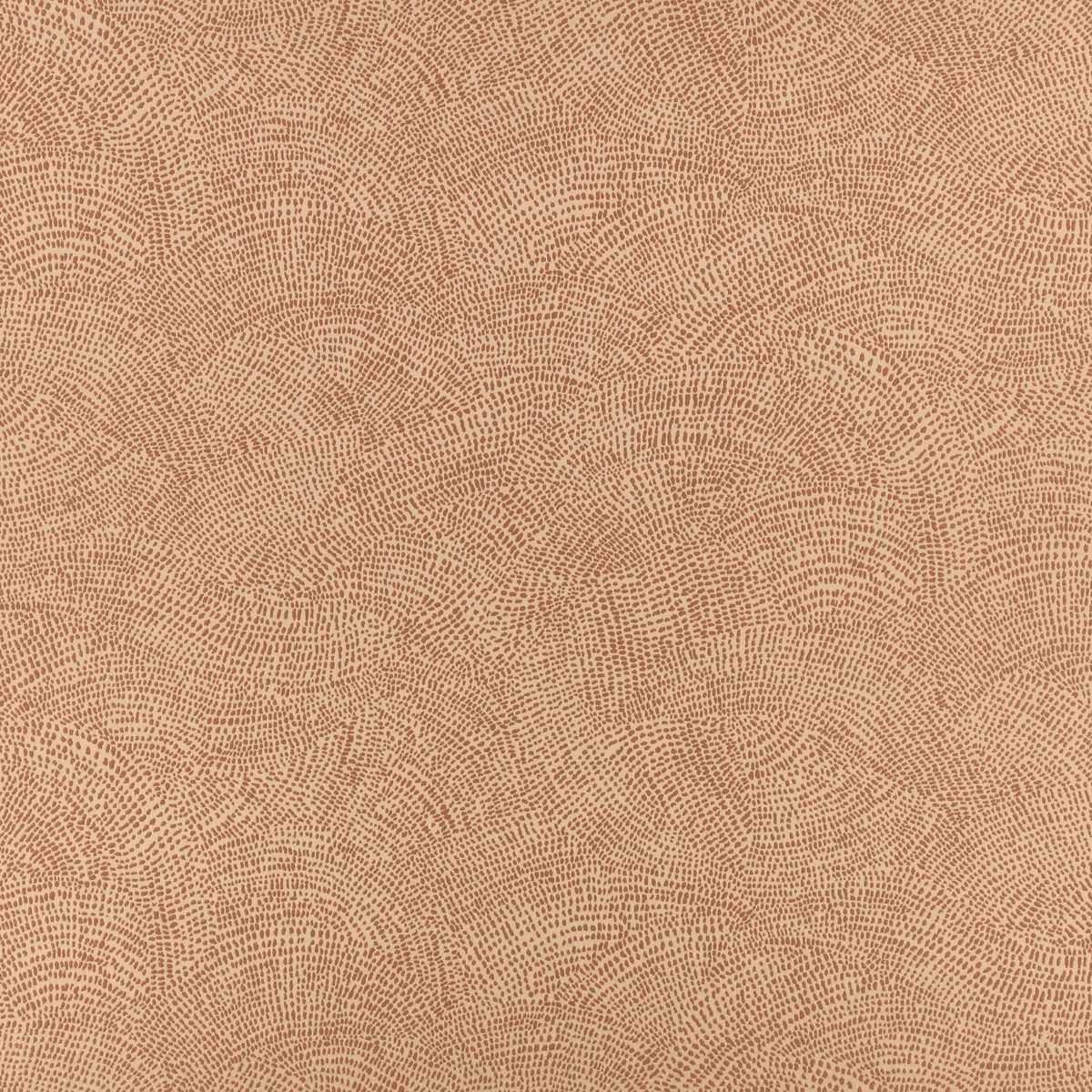 Nivu Cinnamon