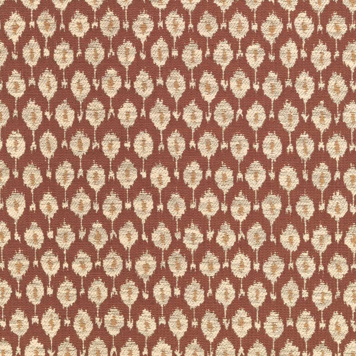 Otillo Maple