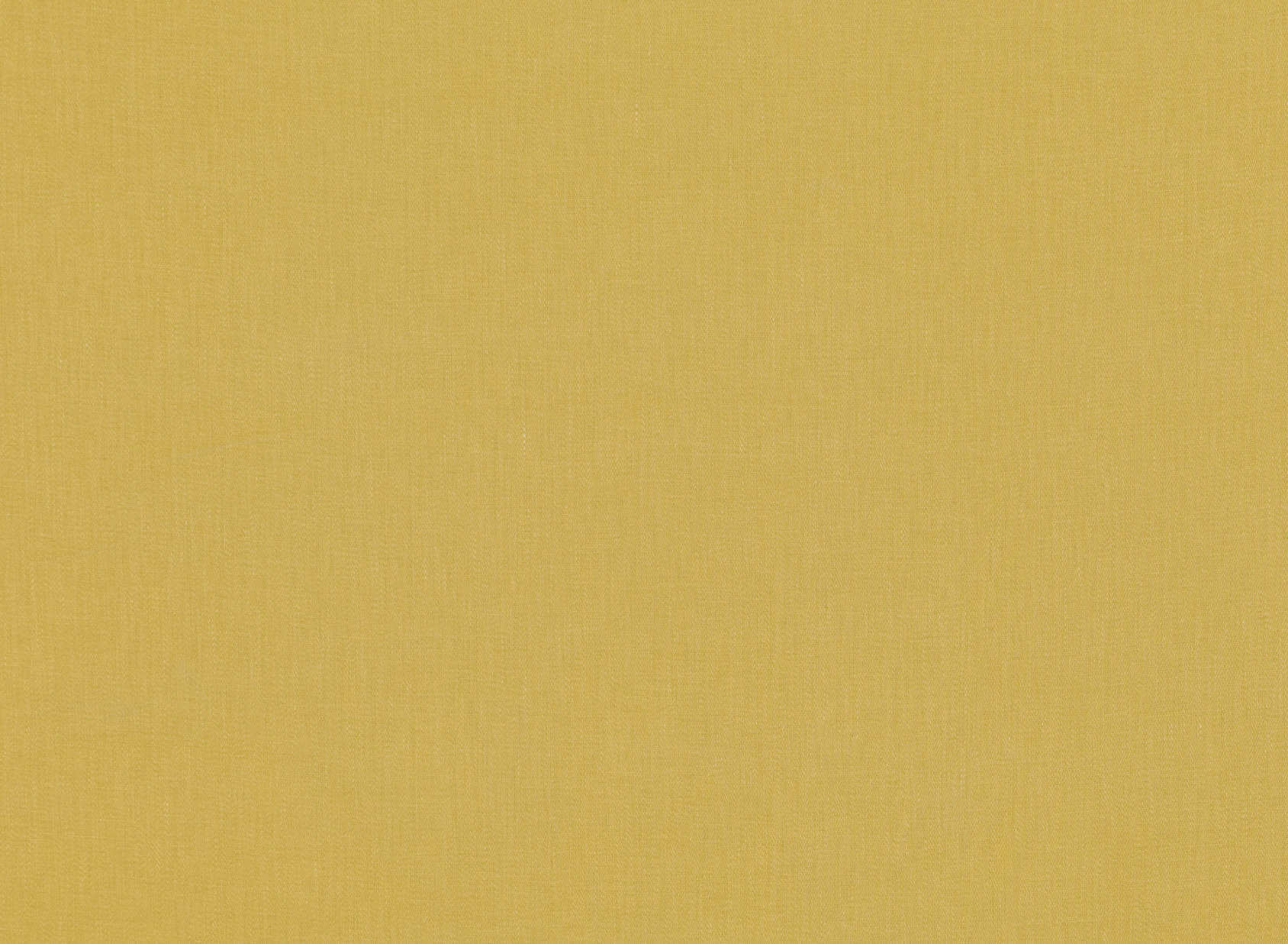 Romari Maize 7773-40