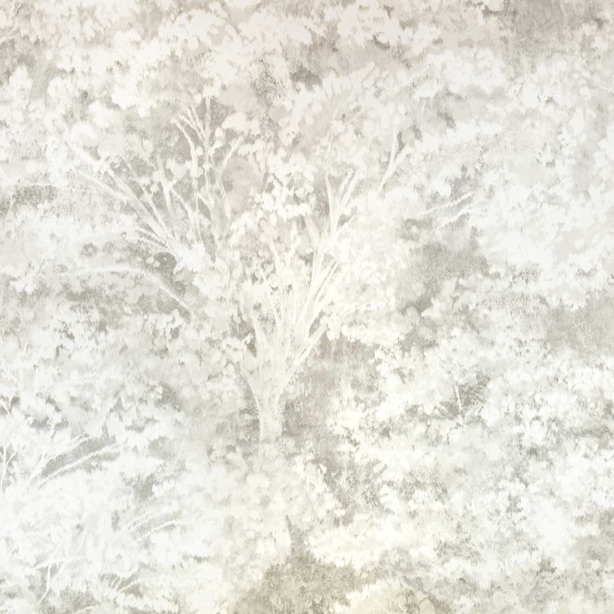 Sikora Quartzite
