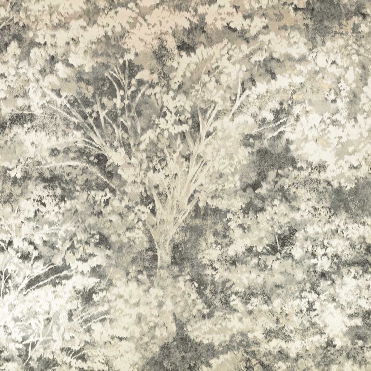 Sikora Charcoal
