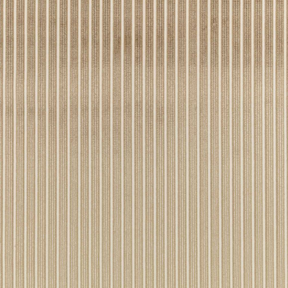 Stria Clay