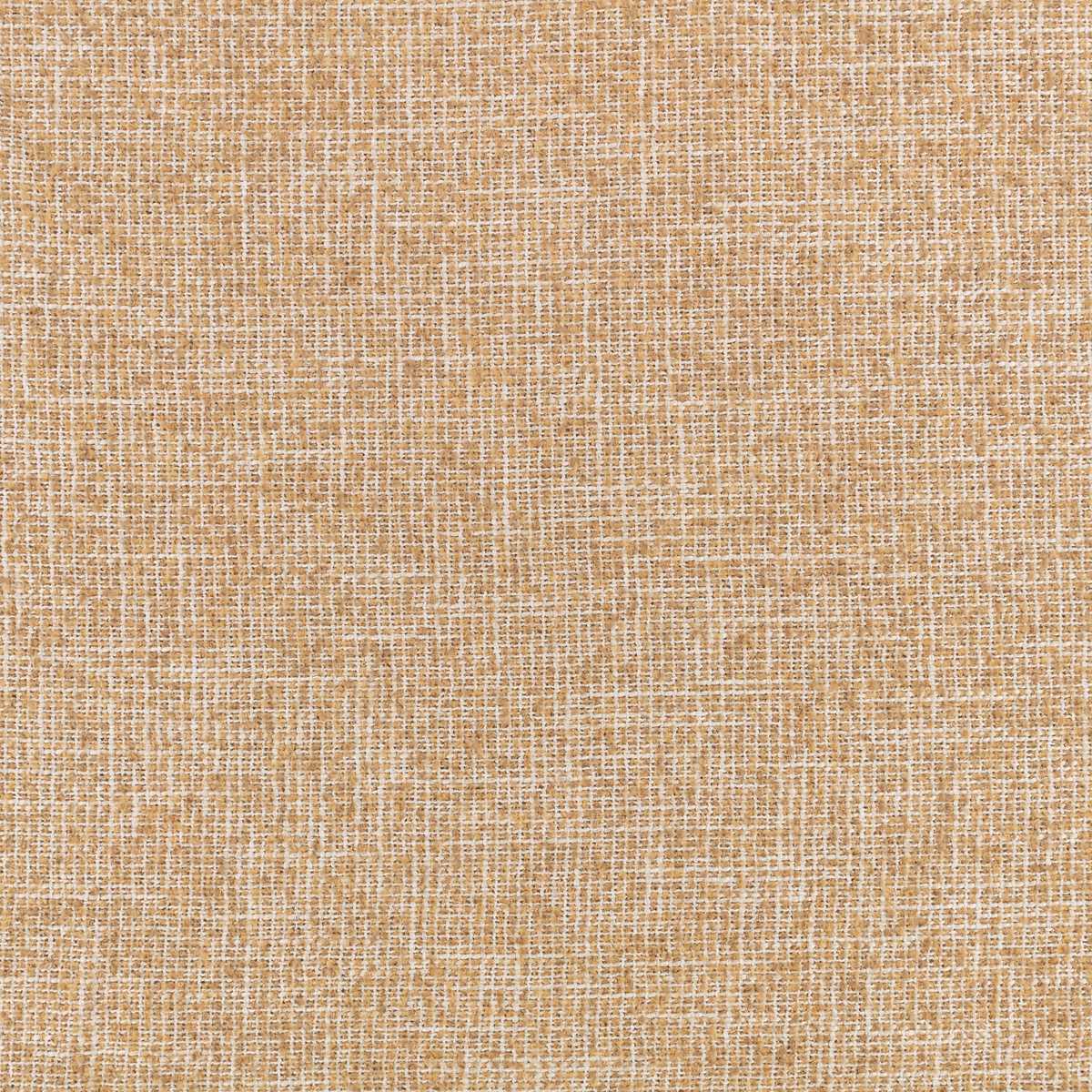 Umi Tamarind