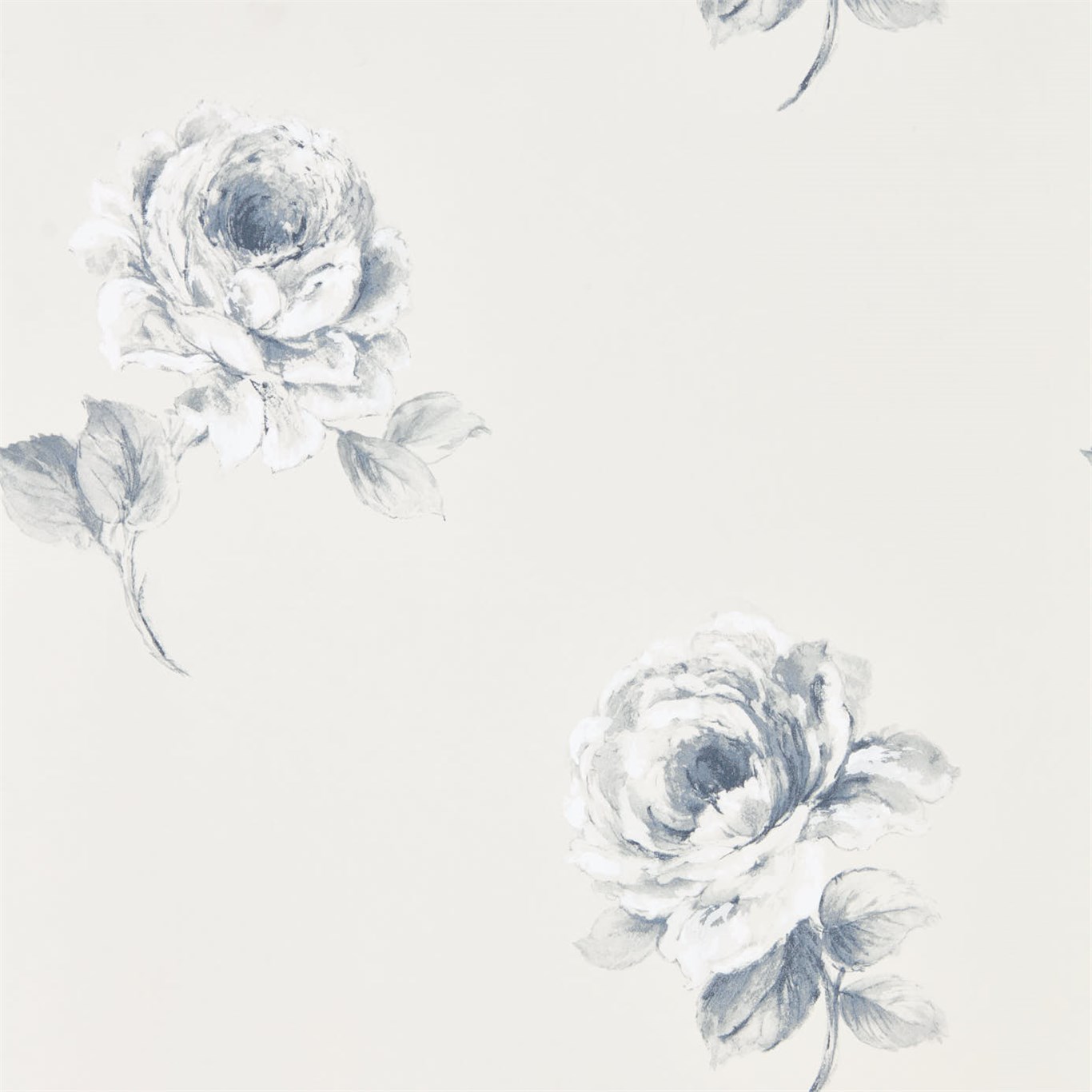 Rosa 216277