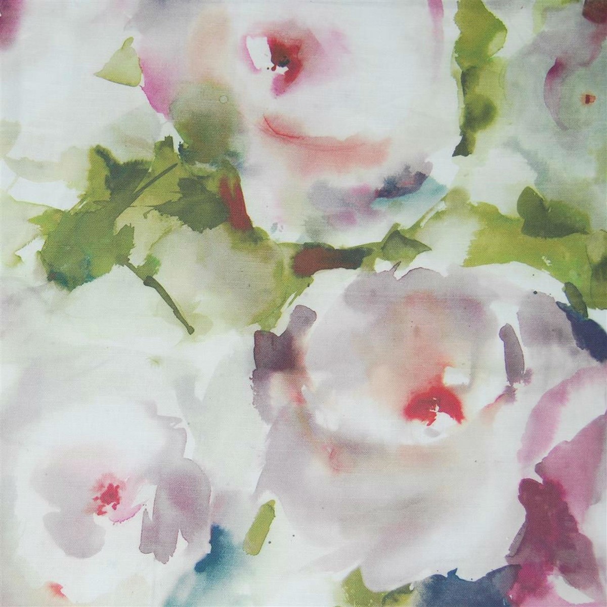Rosa Spring