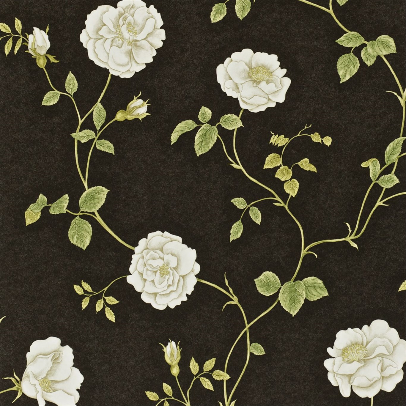 Rosalie DAPGRO104