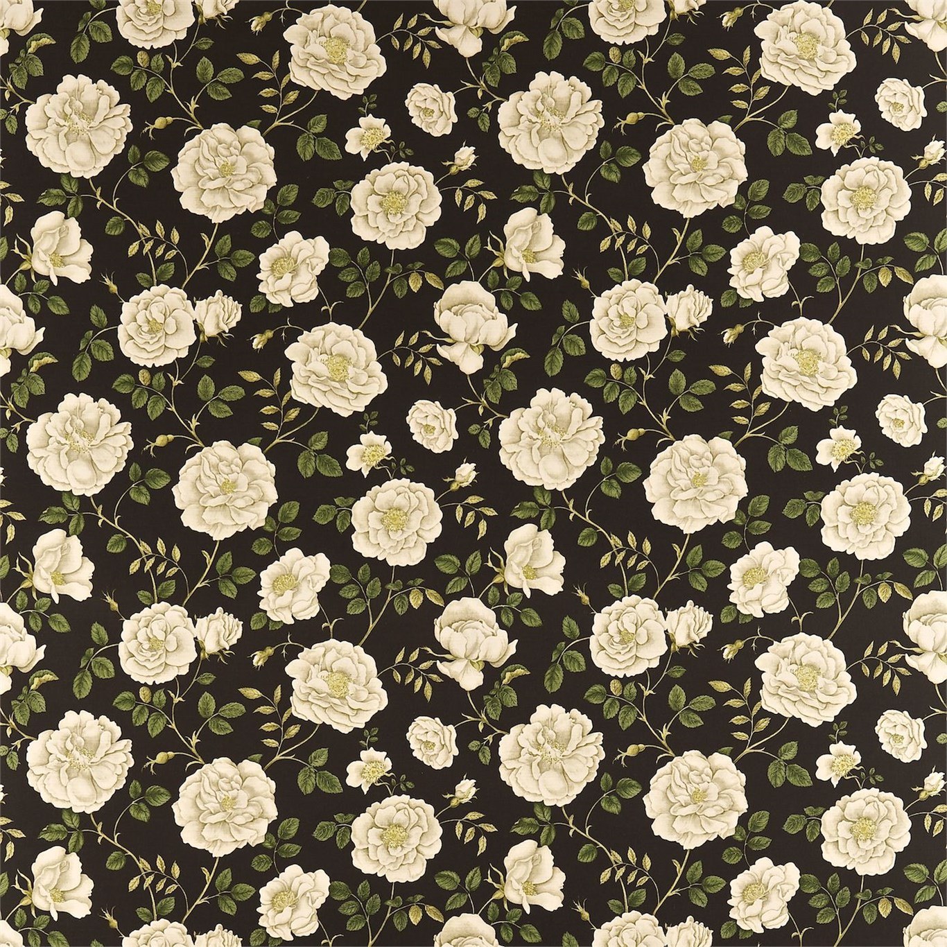 Rosalie DAPGRO204