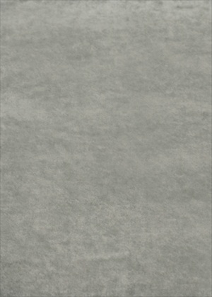 Rossini Velvet Silver Grey FD628J38