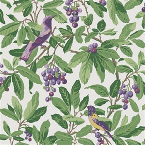 Royal Garden 98-1001