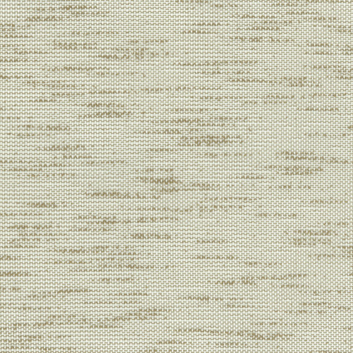 Bark 30685-003