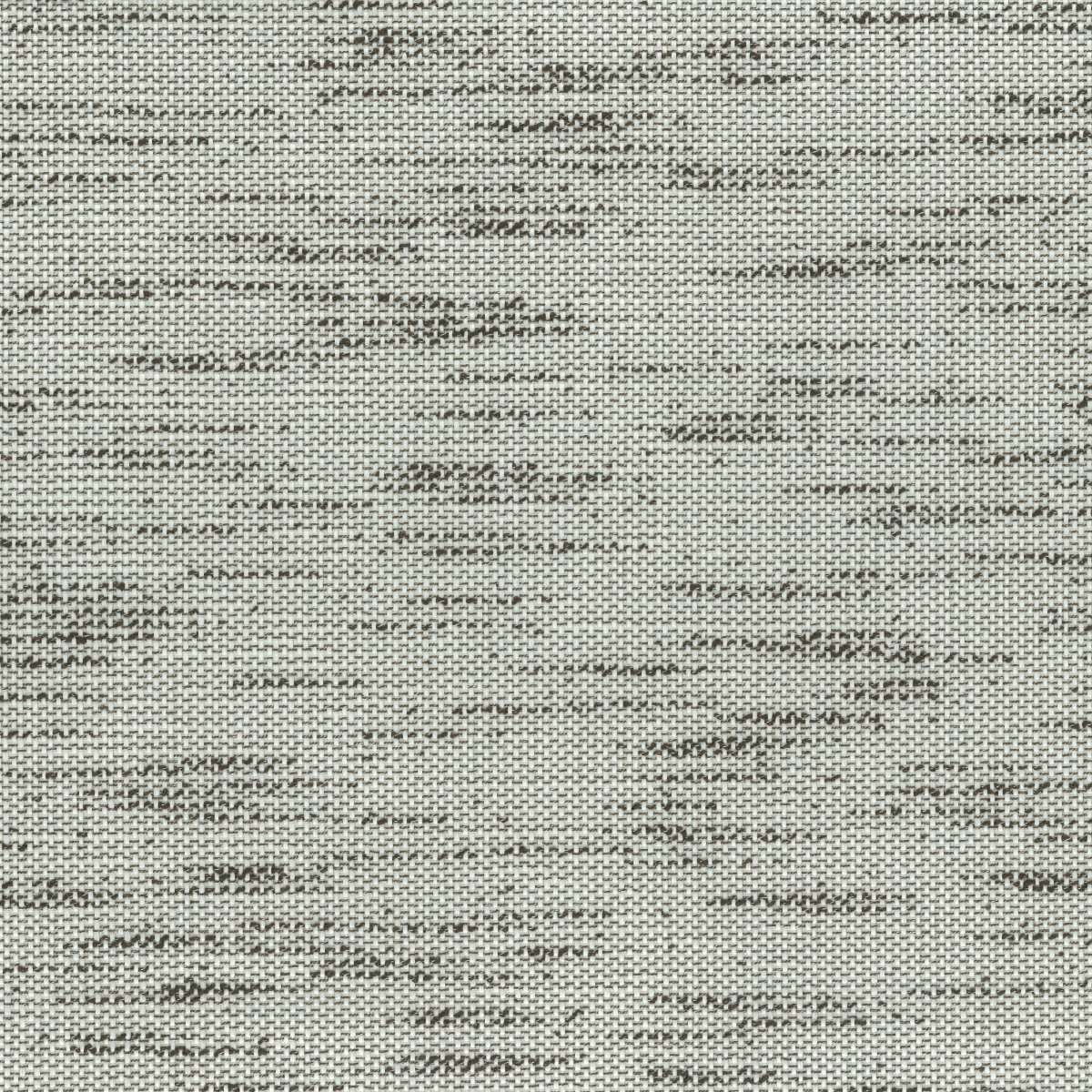 Bark 30685-004