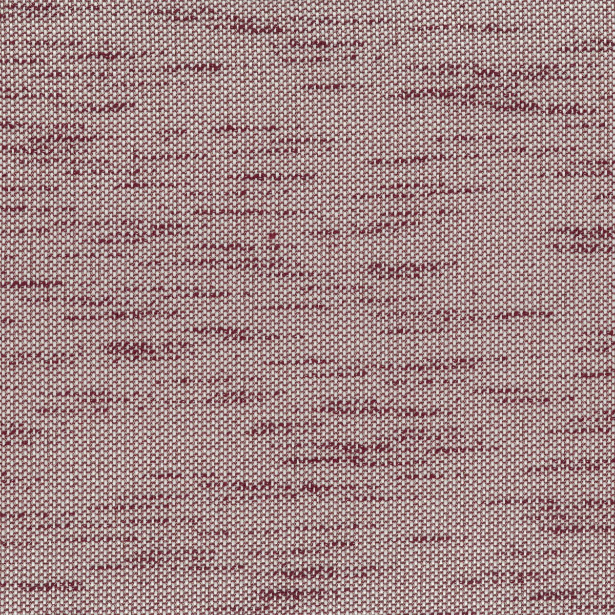 Bark 30685-006