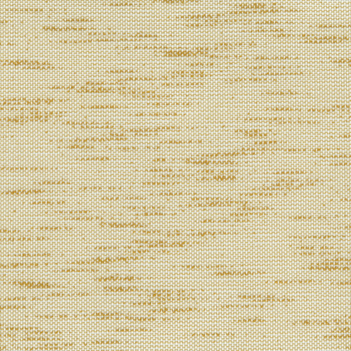 Bark 30685-008