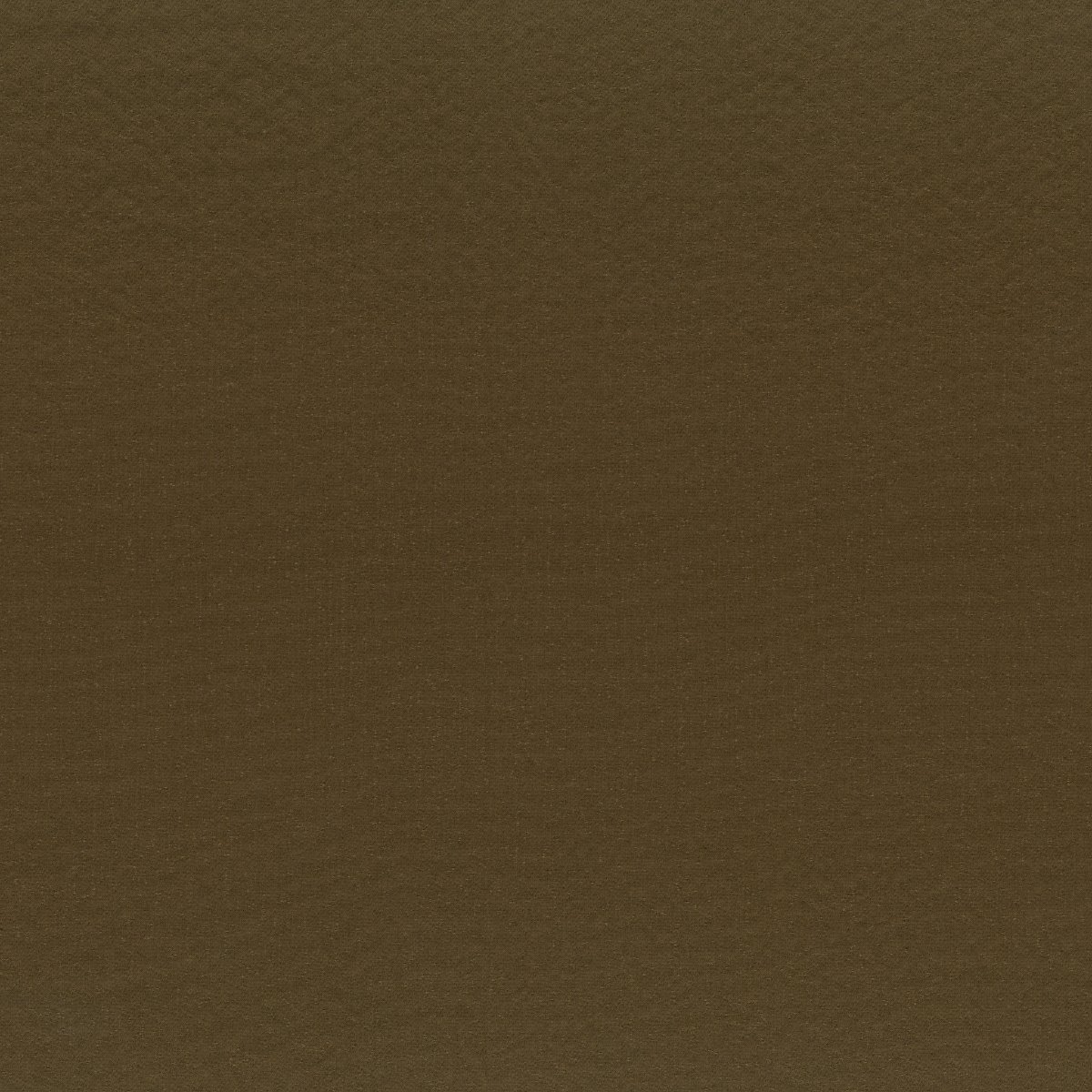 Dahlia 30674-014