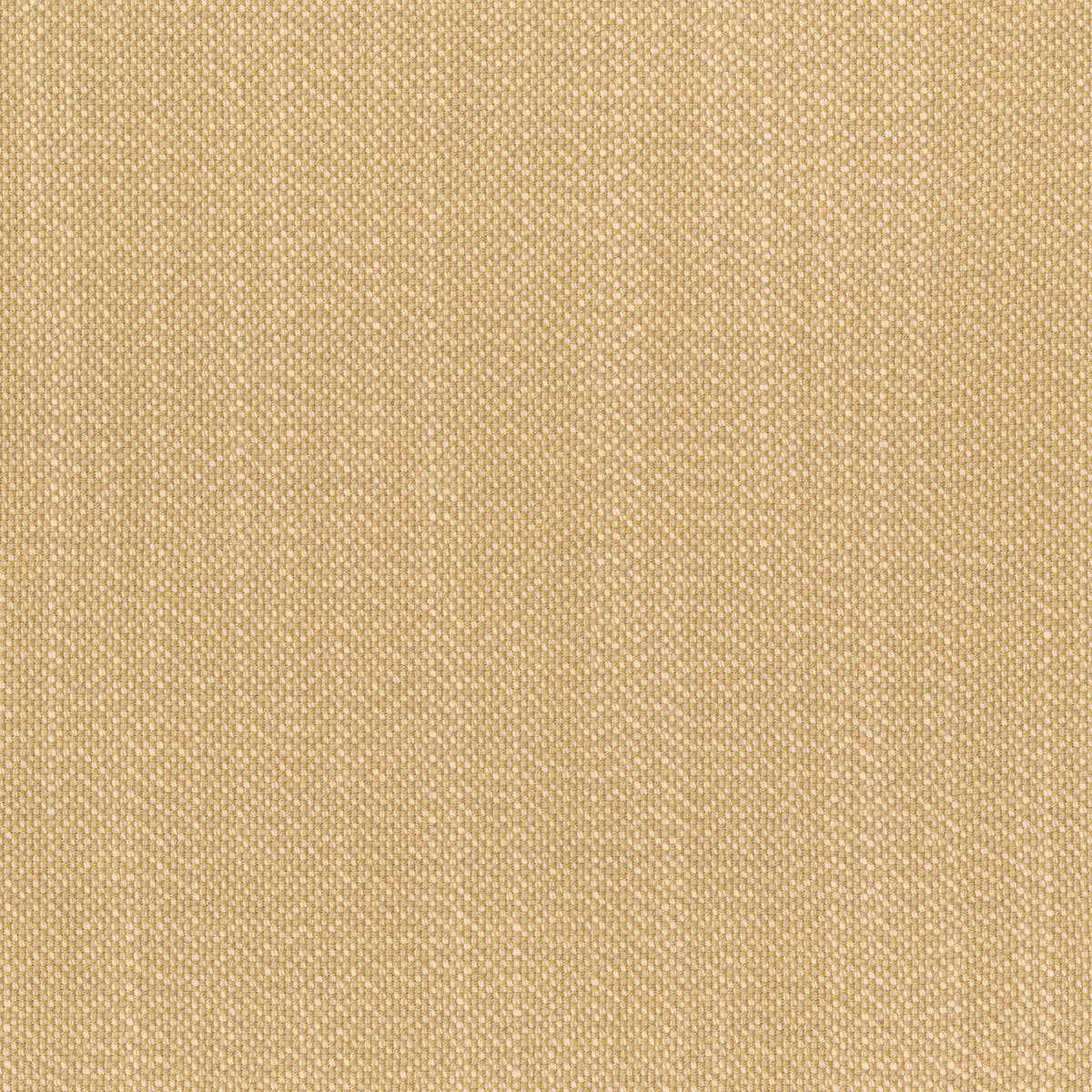 Elba 30763-003