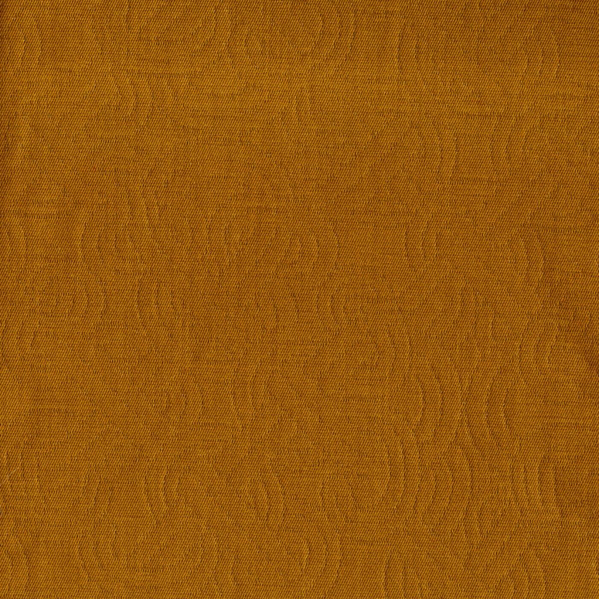 Eusapia 30019-005