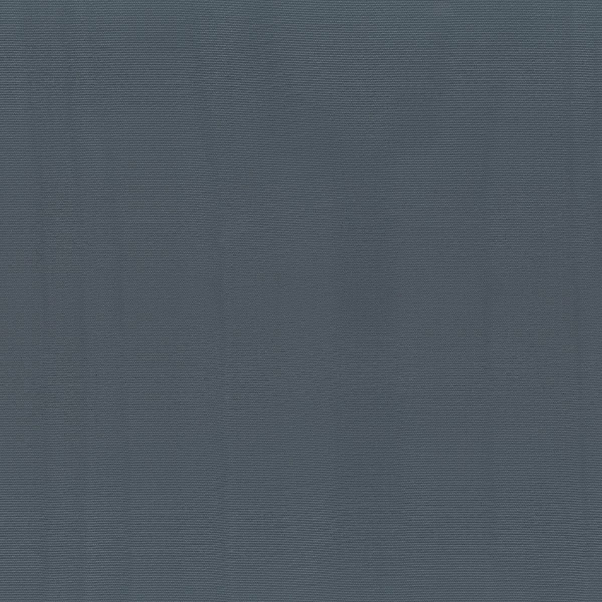 Forget-me-not 30672-020