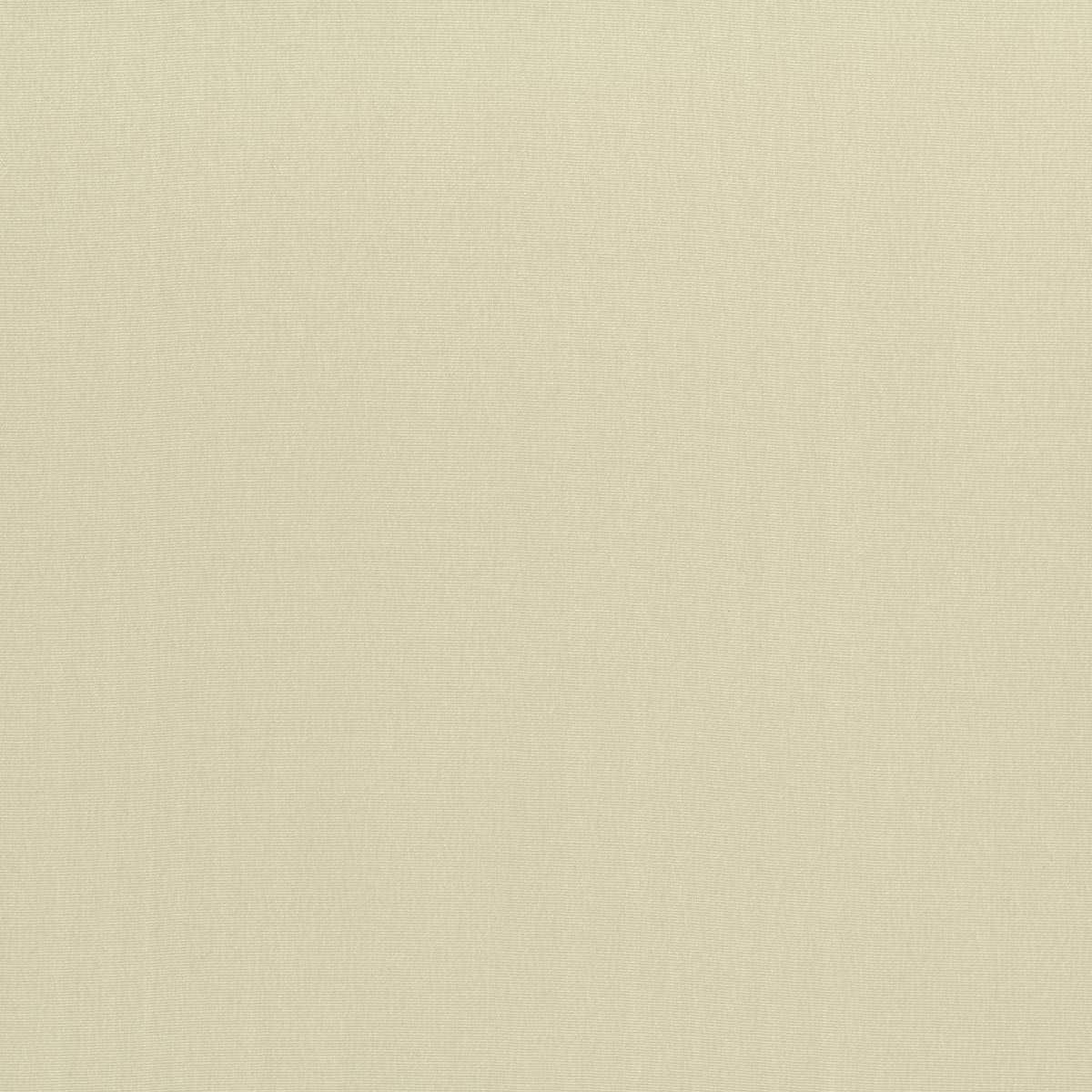 Forget-Me-Not 23063-002
