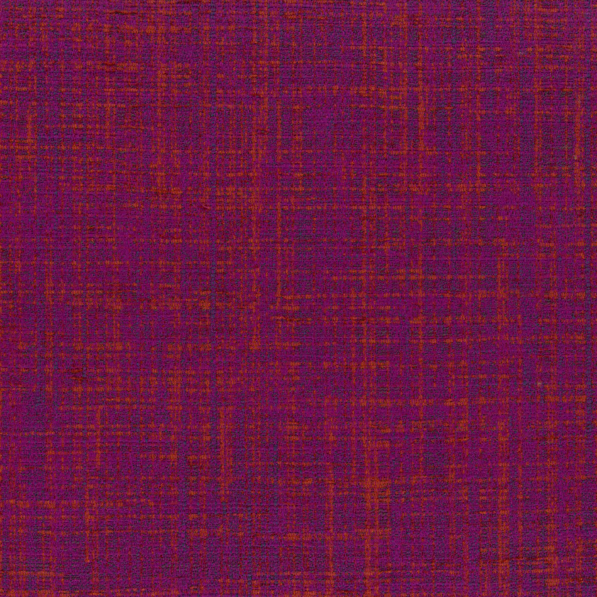 Holi 30663-009