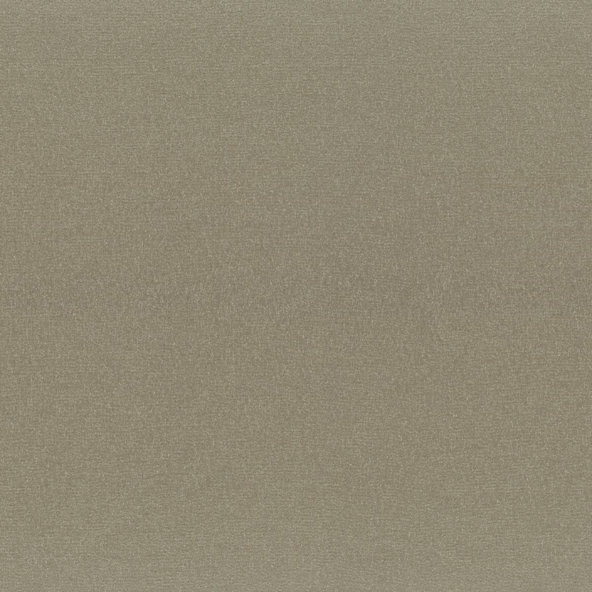 Iris 30673-008