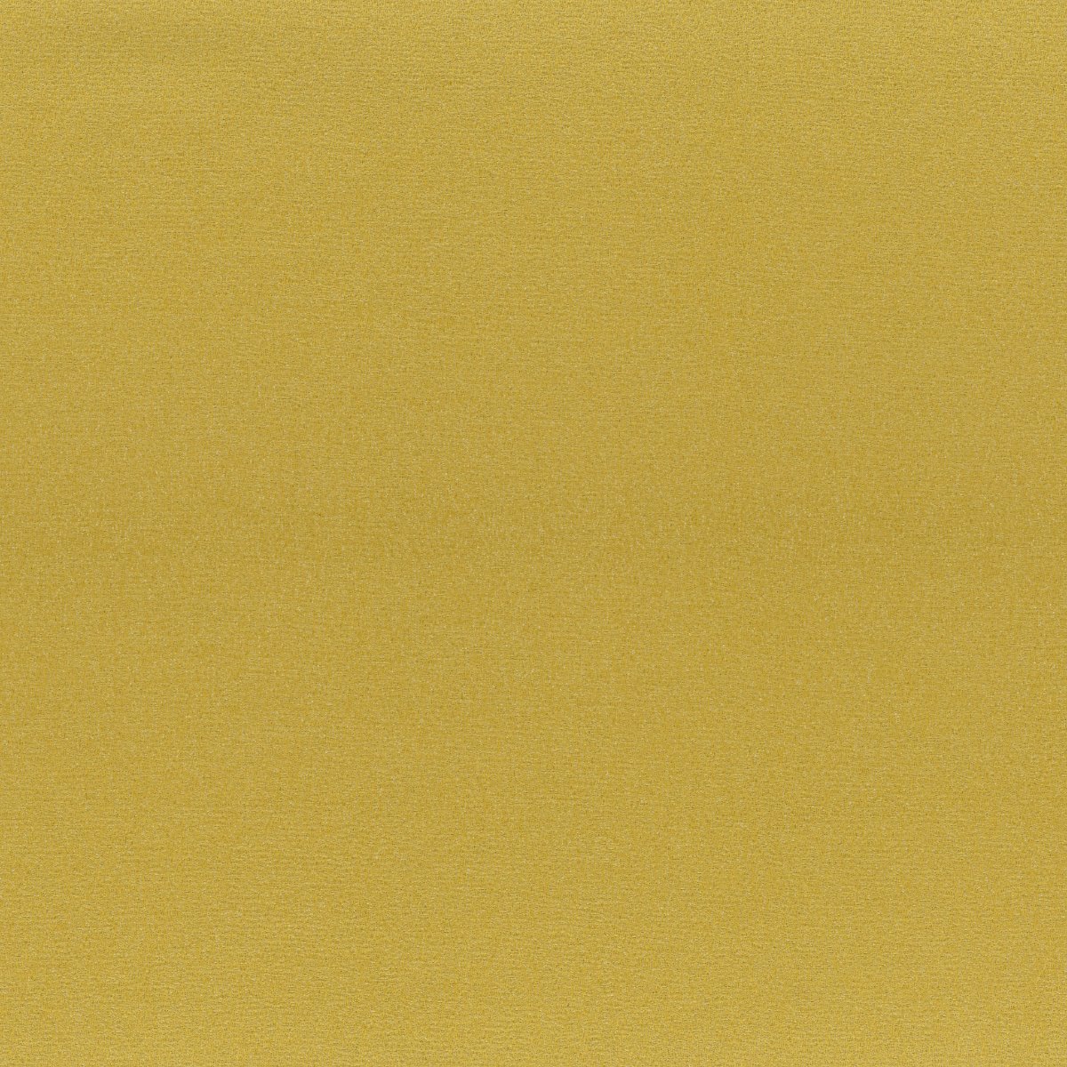 Iris 30673-013