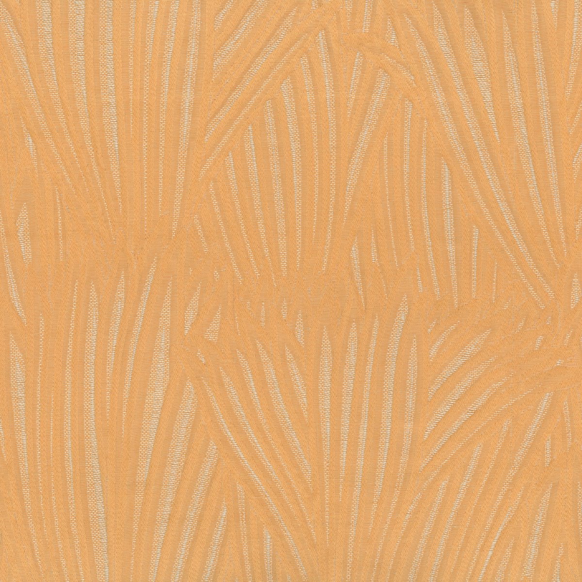 Lemongrass 30668-002