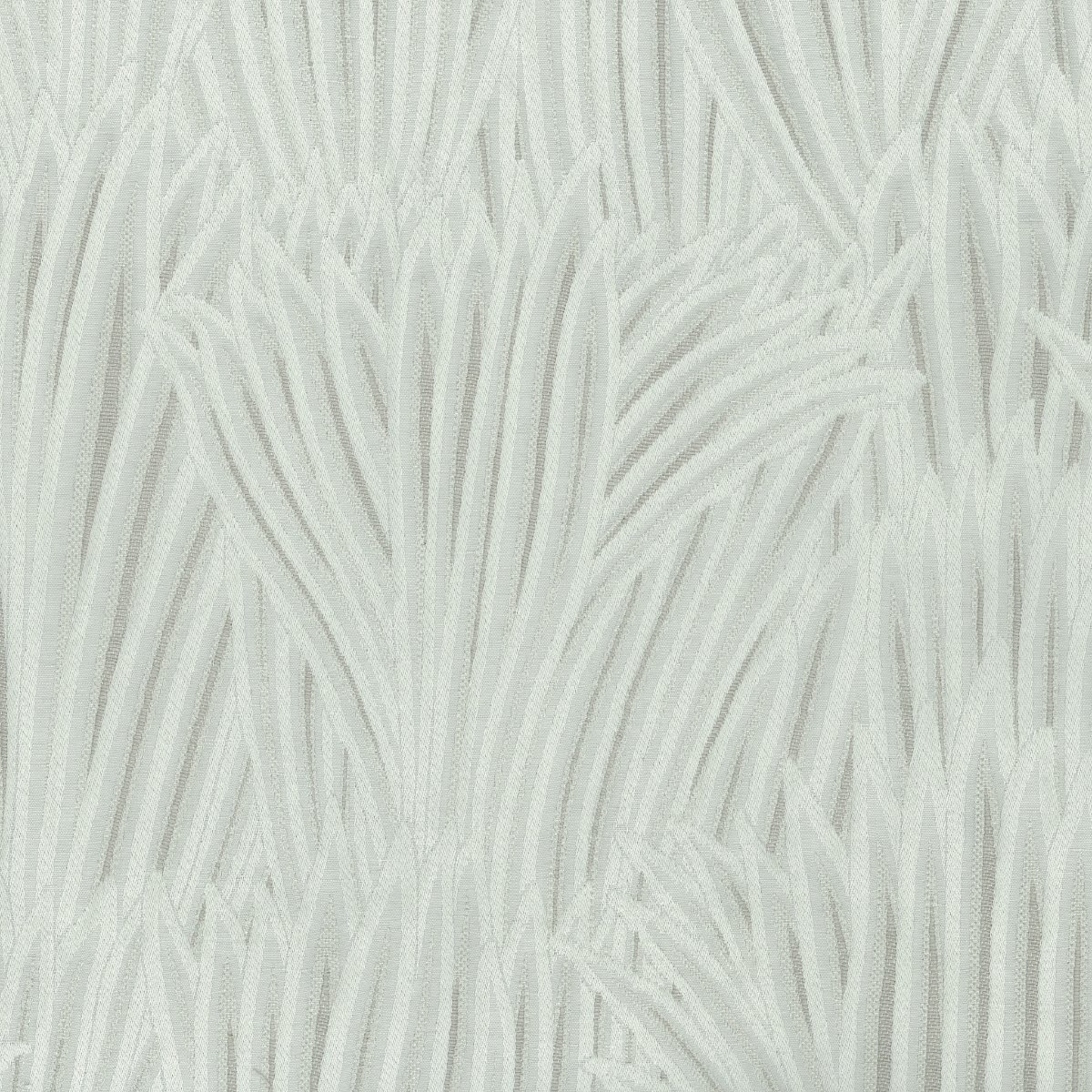 Lemongrass 30668-007