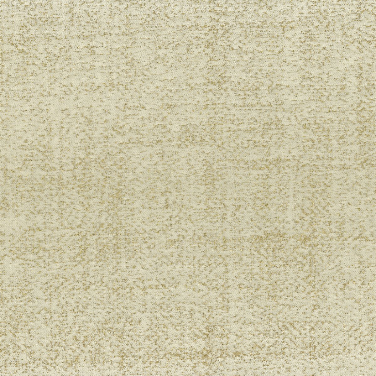 Lily gold 30676-001