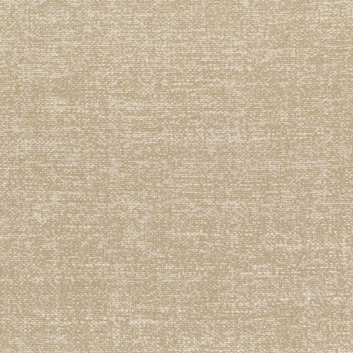 Linosa 30767-001