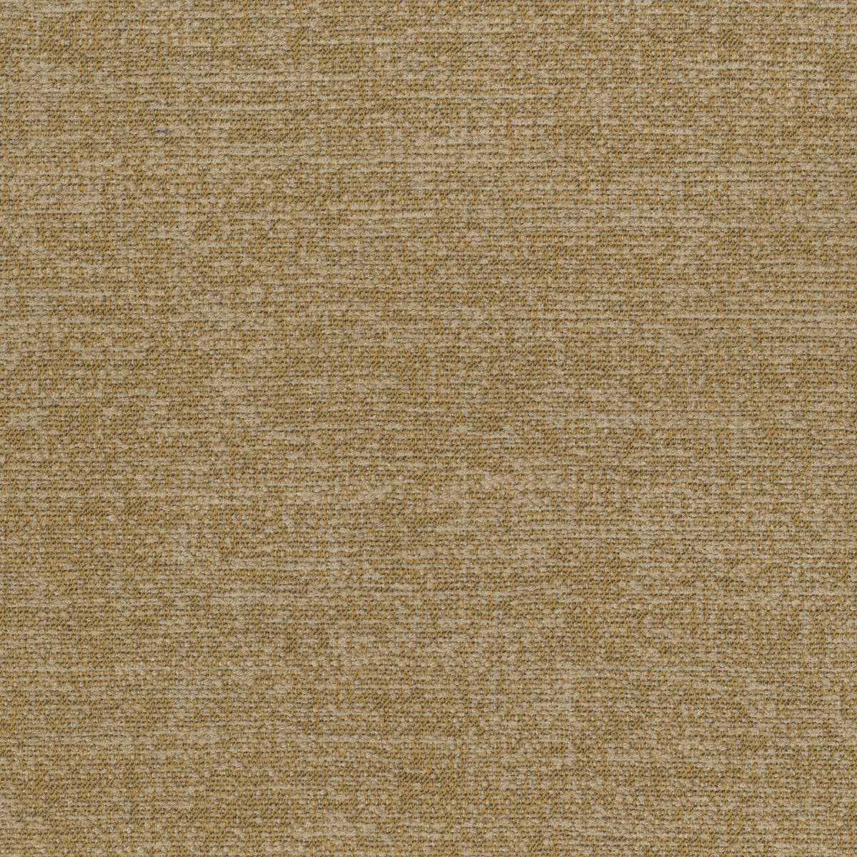 Linosa 30767-002